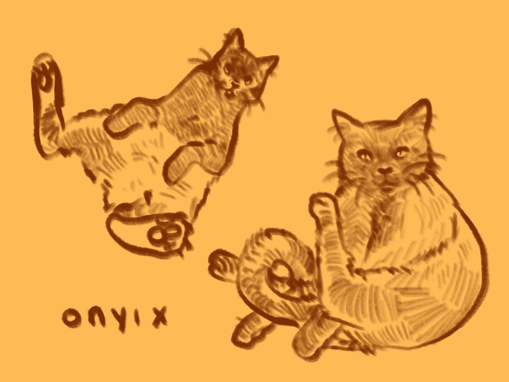 two digital illustrations of my black cat onyx in pretzel like positions, curled up and limbs thrown about without a worry. the text in the corner reads “onyix”