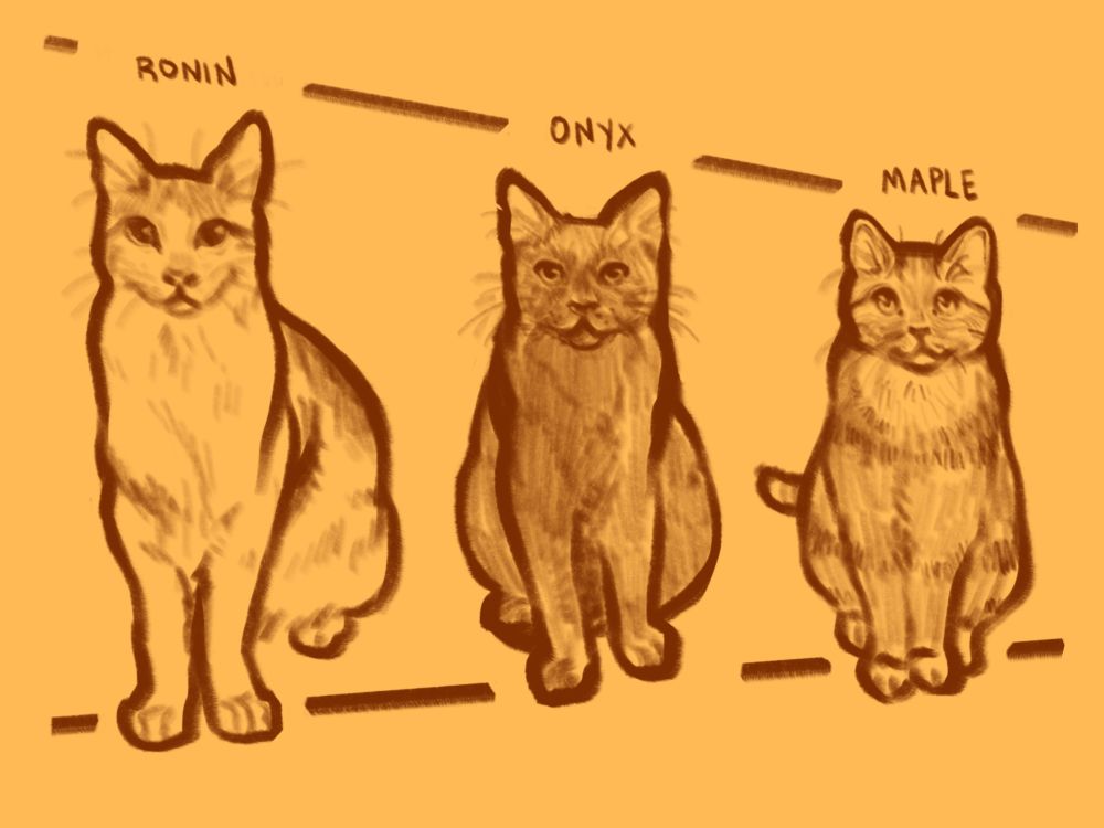 a digital illustration of 3 cats standing side by side, looking directly forward. from left to right stands Ronin, a mid sized male white and orange domestic shorthair, Onyx, a medium sized male black shorthair, and Maple, a petite female orange tabby