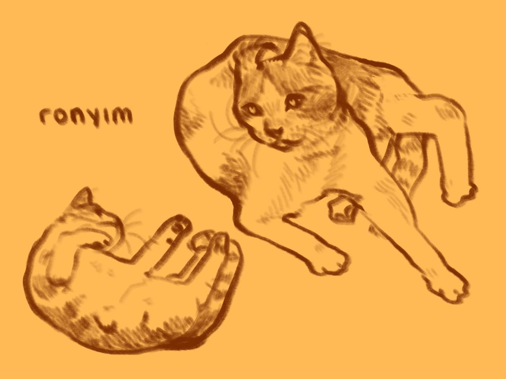 two digital doodles of my white and orange cat Ronin, one of him flopped on his side with his limbs sticking limp in front of him, the other of him sitting on the ground with his right ear flipped the opposite way. the text in the top corner reads “ronyim”