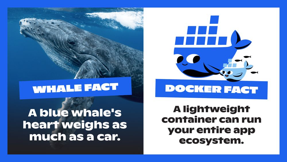 Whale fact +Docker fact