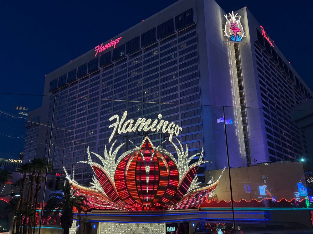 A photo of the Flamingo Las Vegas at night with brightly colored neon lights and a red/orange bloom. Ther is a pink sign at the top on both sides of the building that read “Flamnigo” in bright pink lights and a large lit up picture of a flamingo at the top.