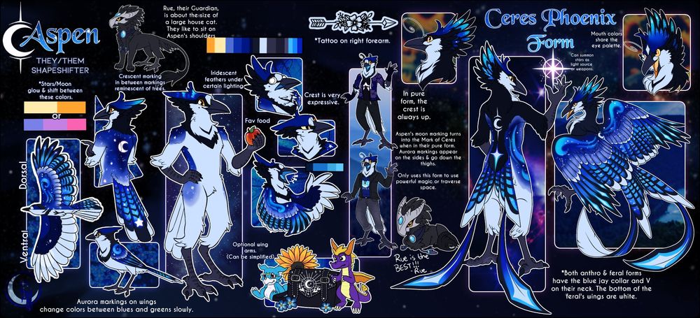 A blue jay that is representative of the nightsky itself. They have a crescent moon marking in between their shoulders on their back. On the left side of the ref is their mortal appearance while on the right is their Ceres Phoenix form and the appearance Esoan citizens know as Aenverthil. 
