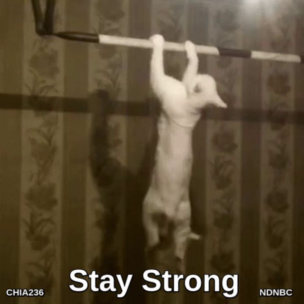 Stay Strong Lets Work It Out GIF