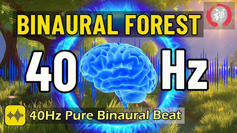 40Hz Binaural Beats for Study, Stress Relief,  Focus, Relaxation  🧠 [HD Nature Scenery | 1 hour]