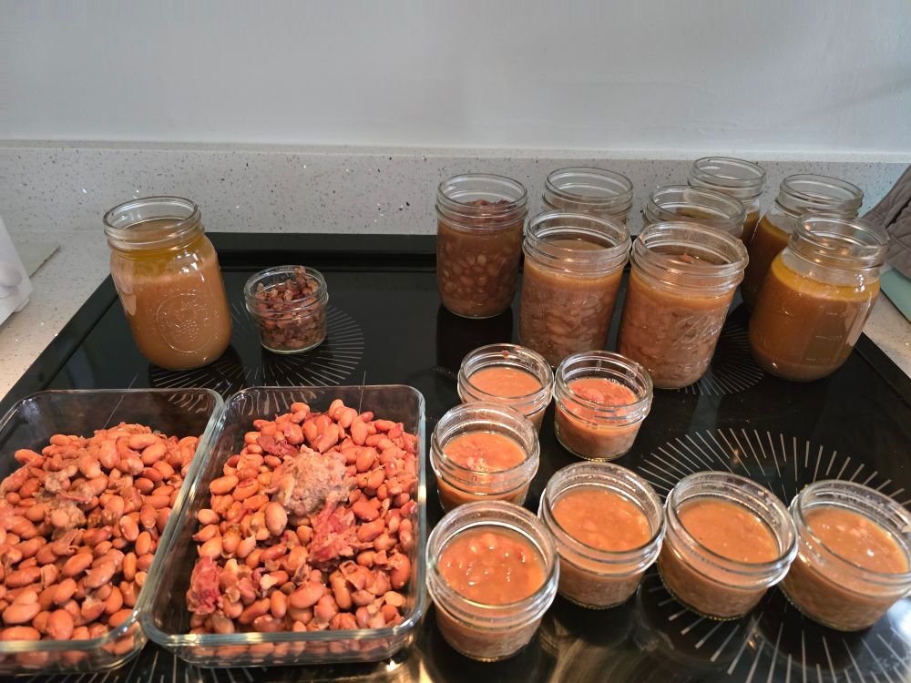 A bunch of beans and bean broth. 4 large jars of bean broth, 5 large jars of beans, two rectangular containers of beans, and 8 small jars of beans.