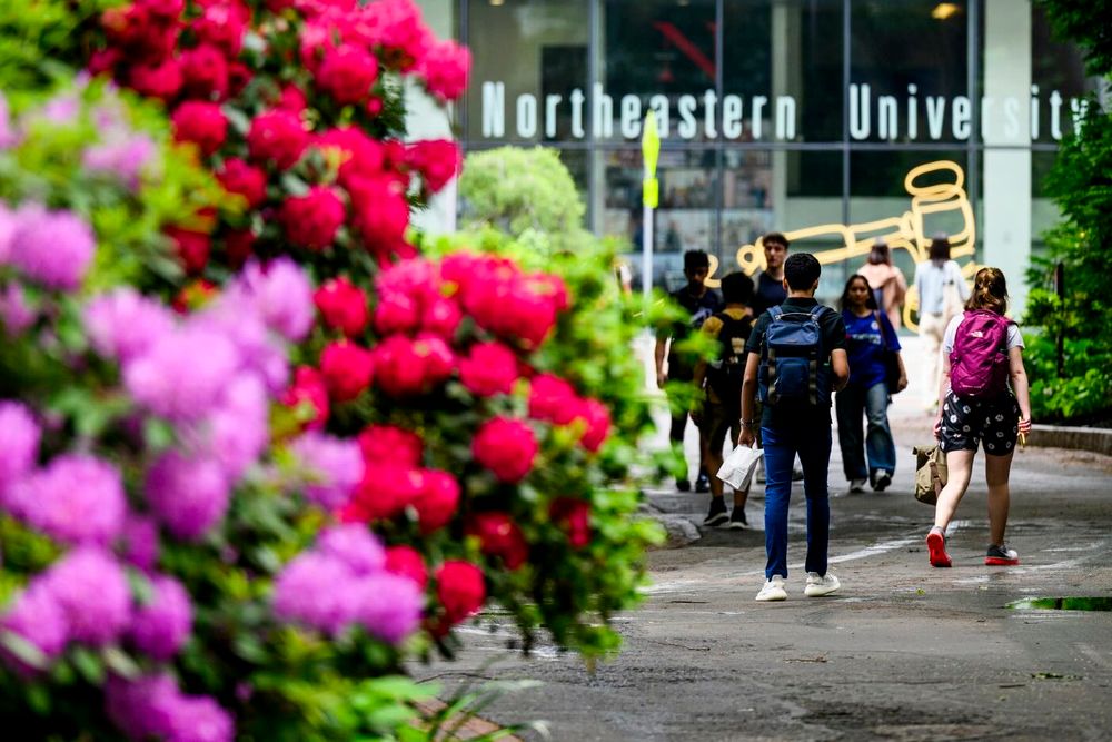People walk on a pathway full of flowers