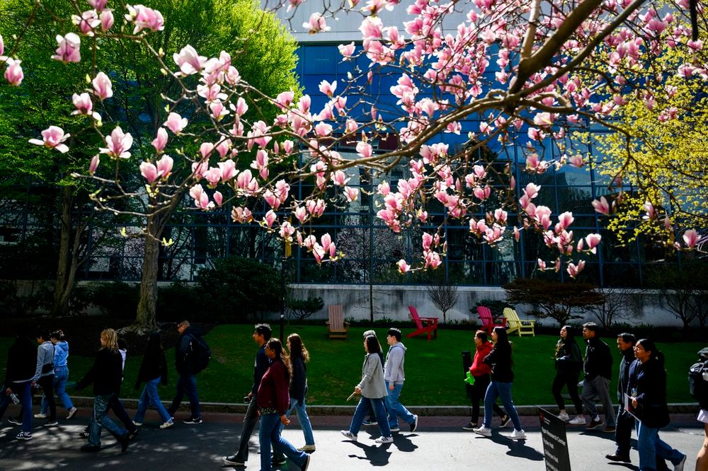 People walk on a pathway full of flowers