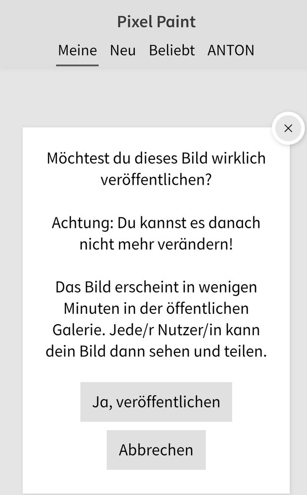 Warnhinweis der Anton App, dass nach Veröffentlichung das Bild nicht mehr änderbar und von jedem Nutzer einsehbar ist.