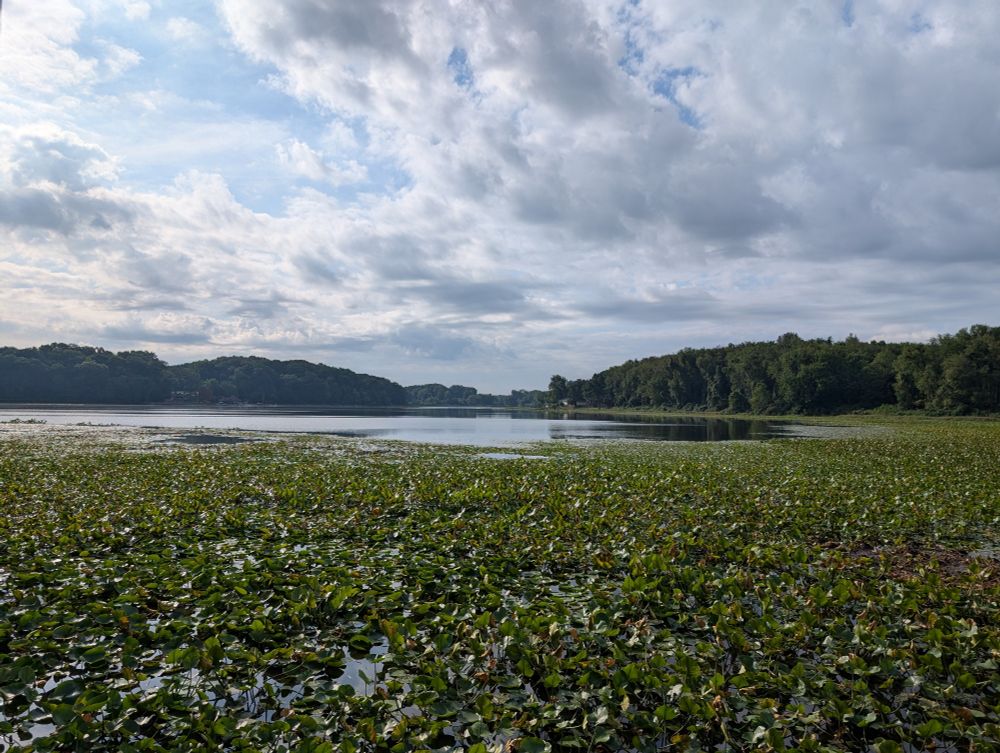 A picture of a lake with vegetation in the foreground and trees in the mid ground. It's a cloudy day with a bit of blue sky and sun peeking out. 