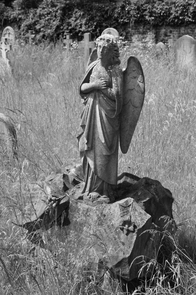 Black and white photo of a neglected graveyard, with weathered headstones amongst tall grasses. In the foreground is a memorial of a winged angel, hands folded across her chest, standing on a roughly hewn “rock,” with stone shield shapes on the sides, where the names, dates, and sentiments regarding the departed are carved. 