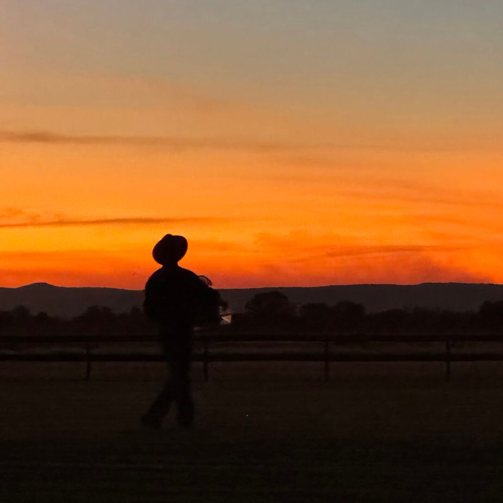 A sunset with a distinct silhouette of a station hand wearing a hat