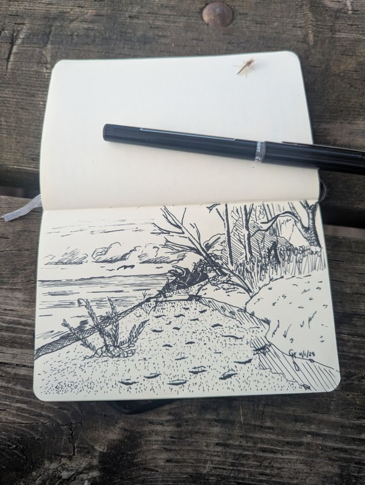 A sketch of my view from the picnic table at the lake