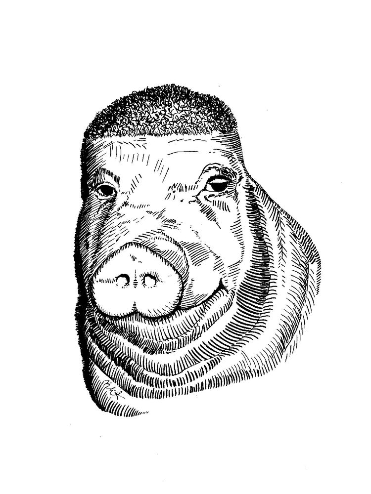 self portrait, pen and ink