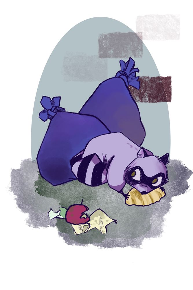 Smooshy raccoon holds onto a croissant with his tiny hands.