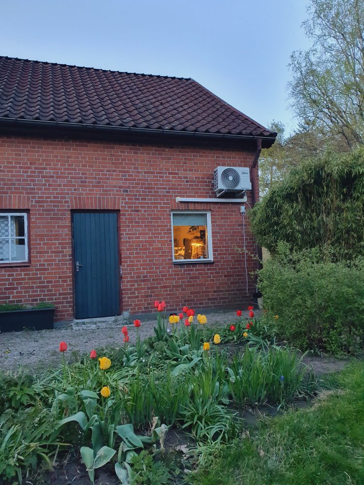 Vårbild med tulpaner, nyutslagna björkar, verkstad