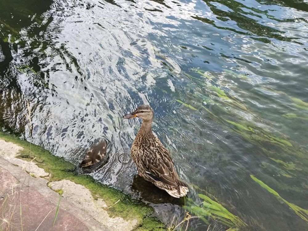 Mummy and baby