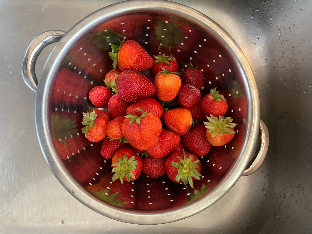 View is from above looking into a clean stainless-steel sink. A stainless steel colander is filled with fresh strawberries, unhulled.