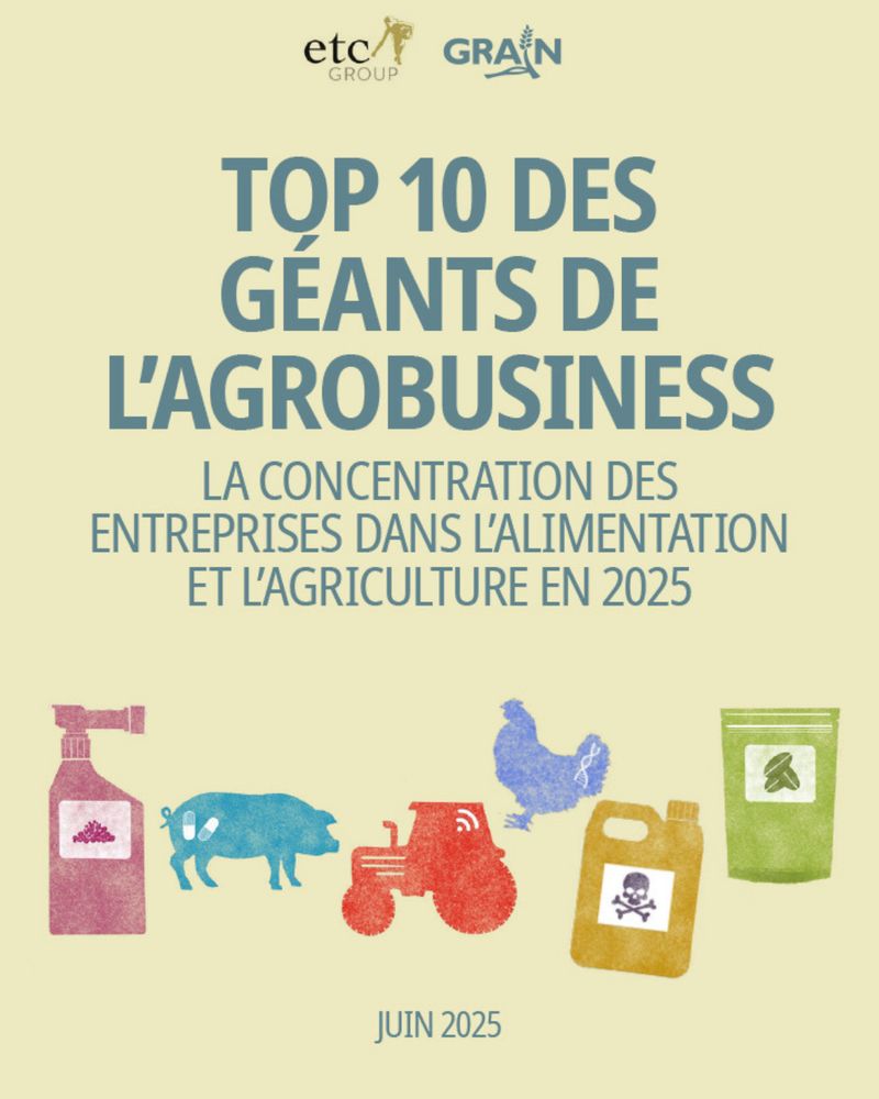 Source: https://grain.org/e/7285