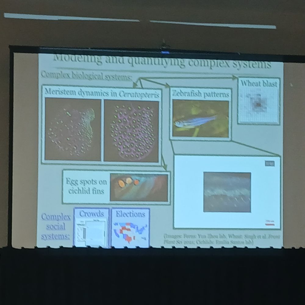 Photo of slide illustration Alexandria's work on complex biological and social systems.