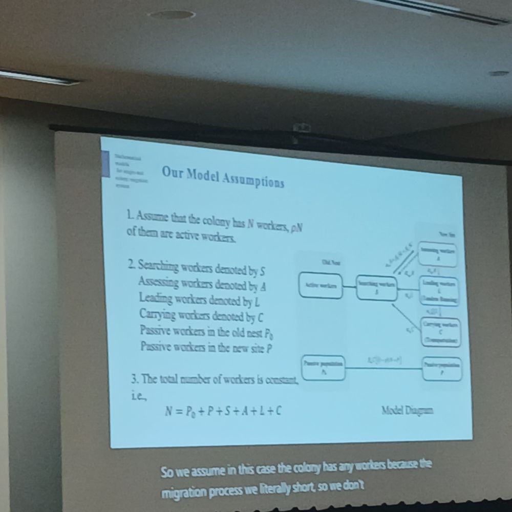 Slide presenting the key variables and a flow chart for the model from Yun Kang's talk.