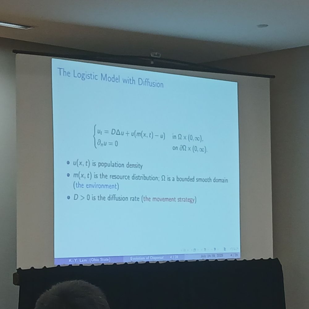 Photo of slide introducing a PDE model describing logistic groeth witj diffusion and heterogeneous growth rates in space.
