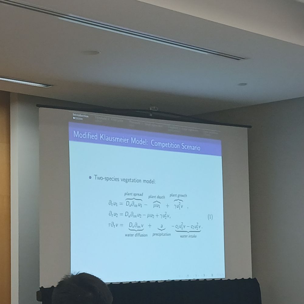A slide presenting the modified Klausmeier  model for vegetation dynamics.