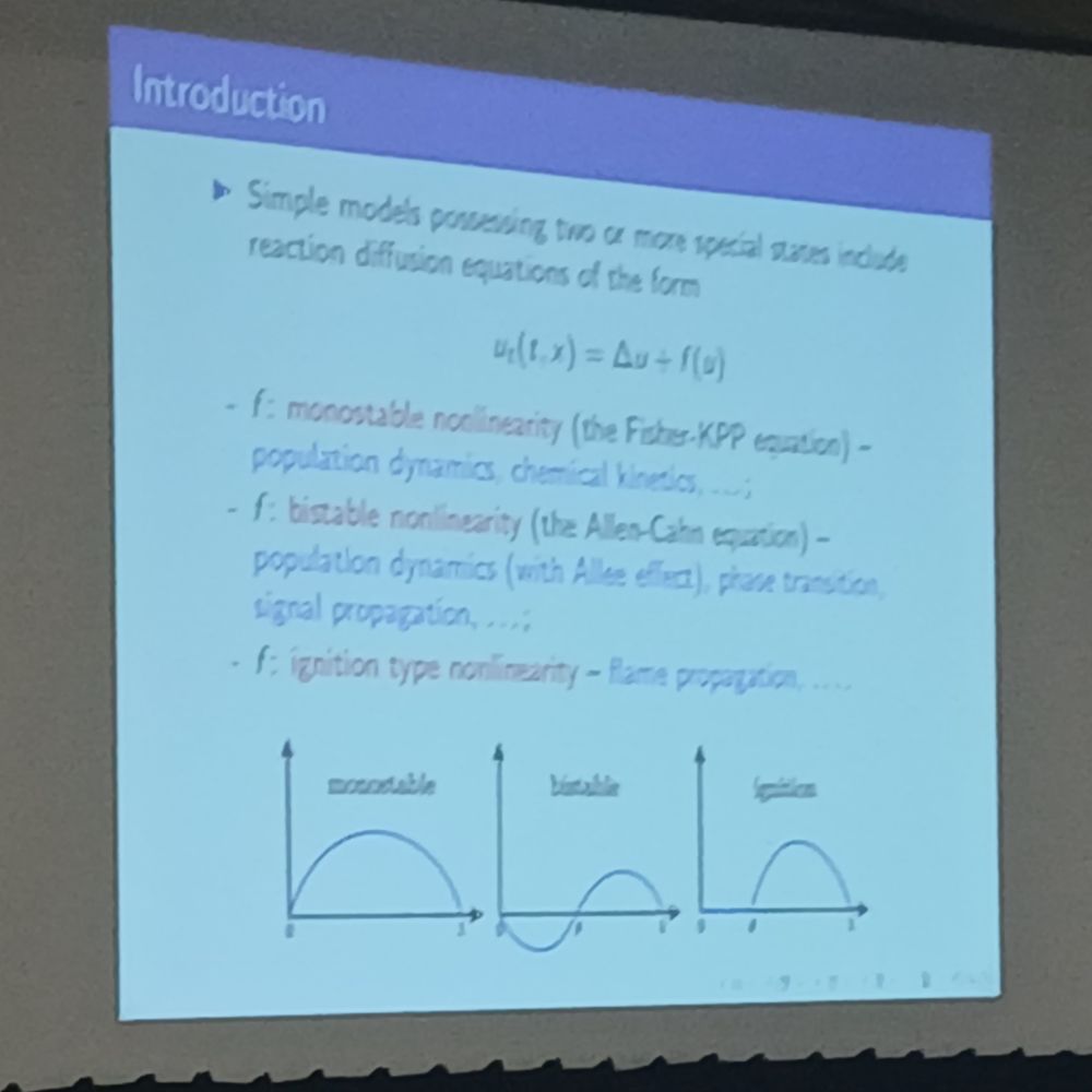 Slide from Wenxiao Chen's talk highlighting different kinds of nonlineairities in scalar reaction-diffusion equations.
