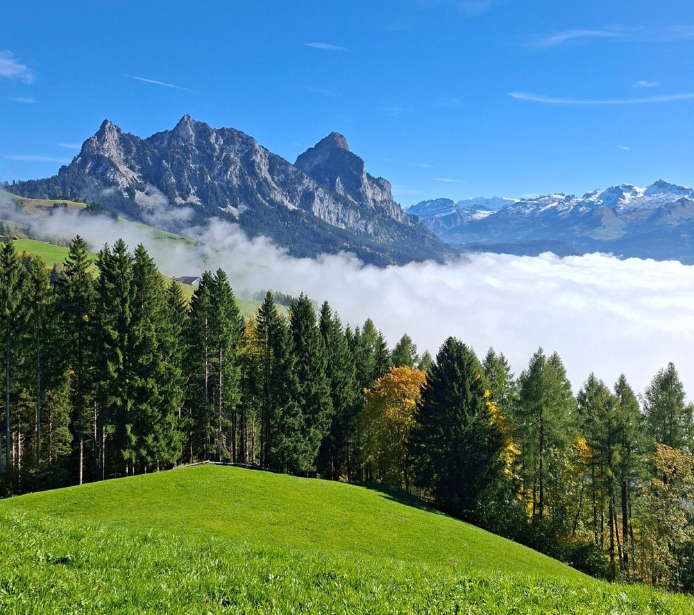 eine grüne Wiese mit Bäumen und Bergen im Hintergrund
