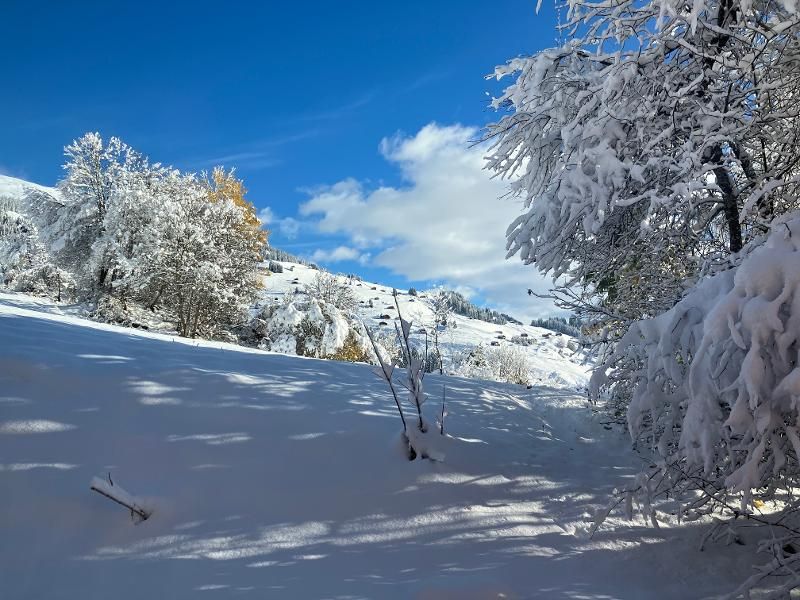 Verschneite Berglandschaft.