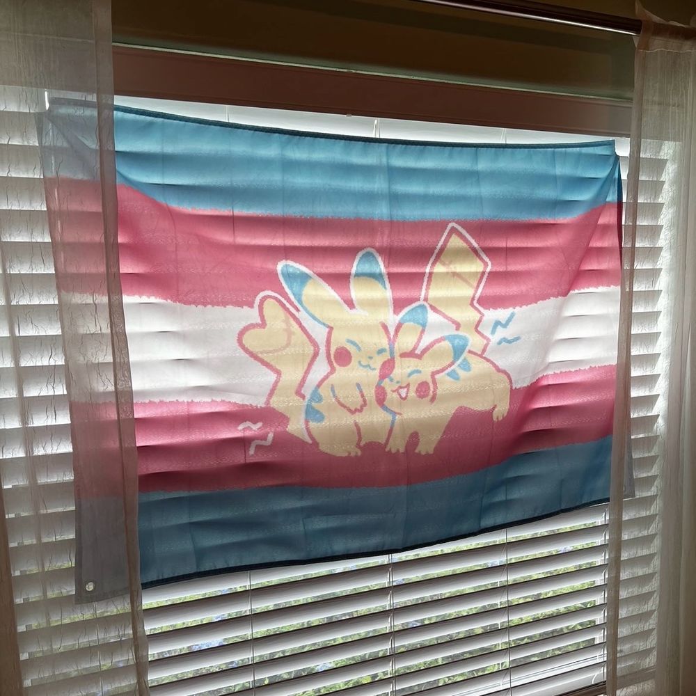The image reflects the same trans pikachu flag, but this time as an actual flag hanging in a window. 