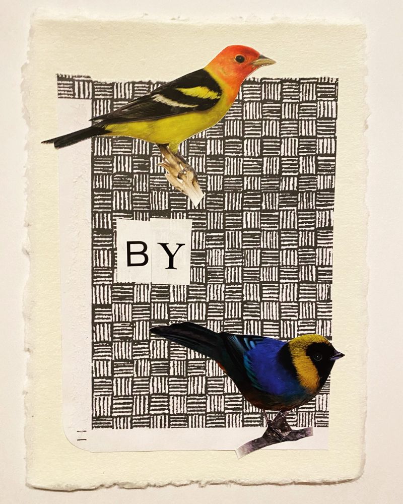 Collage “bird by bird”
