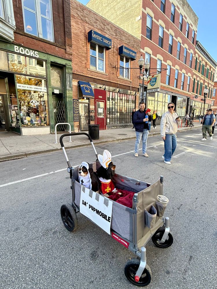My photo of a pedestrianized Milwaukee Avenue in Chicago with my dogs in their wagon with smiling people walking by.