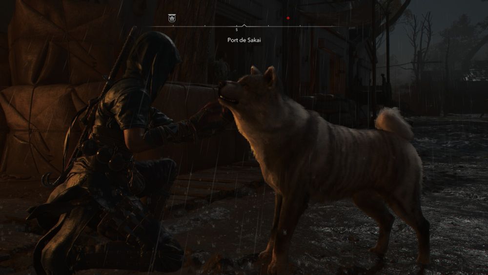 De nuit, une jeune femme japonaise portant un katana sur le dos et une capuche dissimulant son visage est agenouillée devant une maison en bois, sous la pluie. Elle caresse un grosbm chien de type Akita Inu.