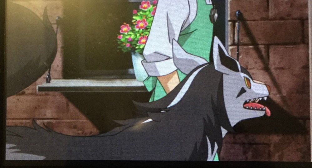 A closeup shot of the Pokémon Mightyena, as seen in the movie “Zoroark: Master of Illusions”.

Emphasis is placed on how both the Mightyena’s tongue and tail are wagging, in an attempt to make them seem adorable. ^^