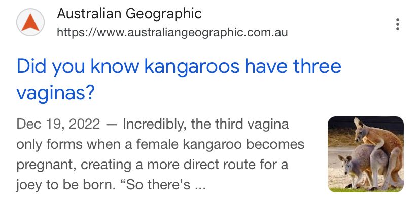 A screencap of a search result from Australian Geographic that states: Did you know kangaroos have three vaginas?