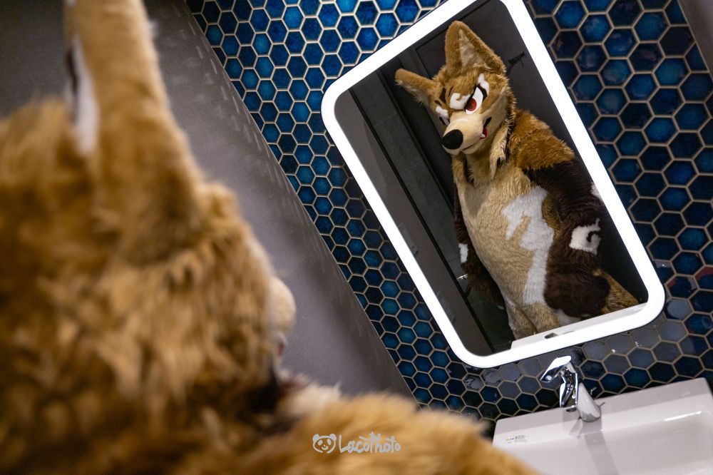 📸 @lacotot.bsky.social 