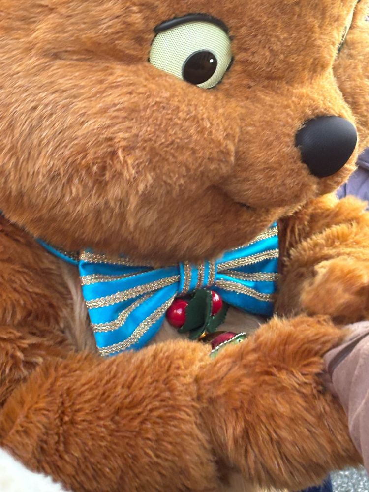 おしゃれキャットのベルリオーズリボンが可愛い