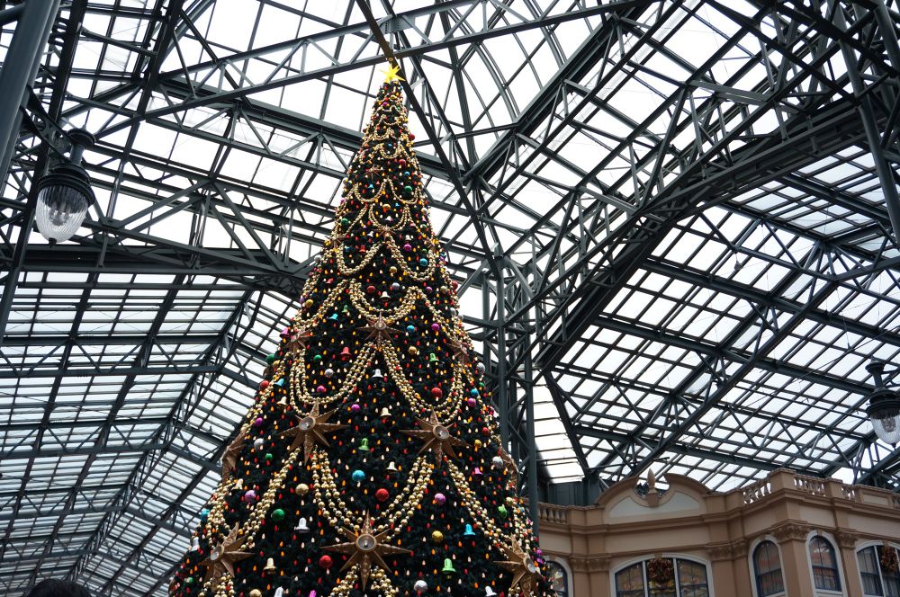 TDRのワールドバザールのクリスマスツリー🎄
これを見ると、クリスマスが来たー！って思う