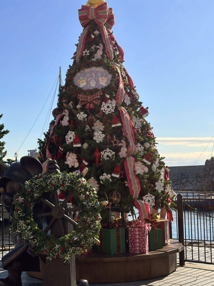 ケープゴッドのツリー。大人気でした！