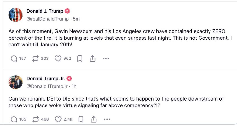 Trump and Don Jr. posts attacking Governor Newsom as LA burns.