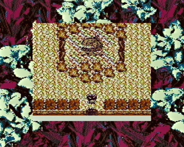 screenshot of new GAMEBUG project 3 taken on a Super Game Boy with custom colors. shows the player entering a boss room where a monstrous pumpkin sits in the middle of an enclosure made from flowers and vines.