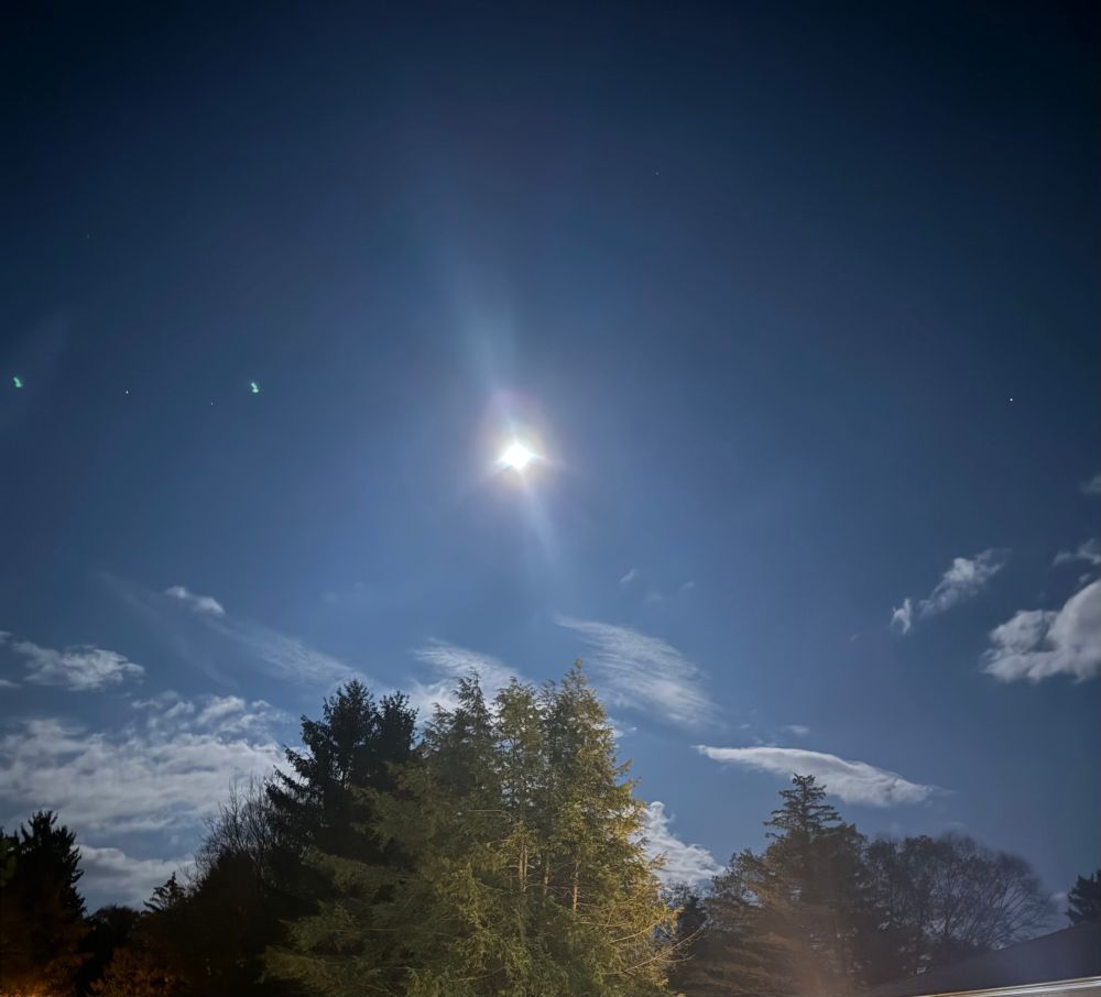 A bright moon in the night sky, with some small clouds above a line of trees. 