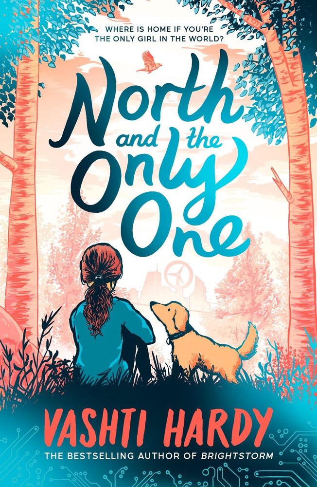 Book cover for North and the Only One by Vashti Hardy