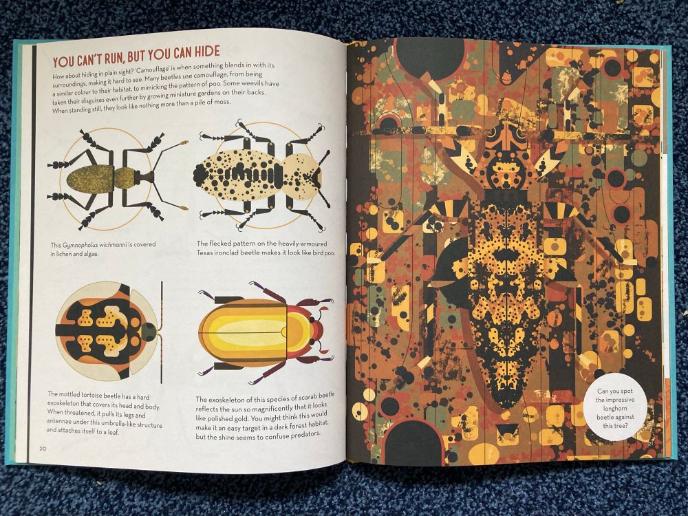 Internal page from Bonkers About Beetles by Owen Davey 