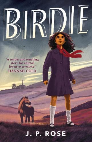 Book cover for Birdie by J. P. Rose