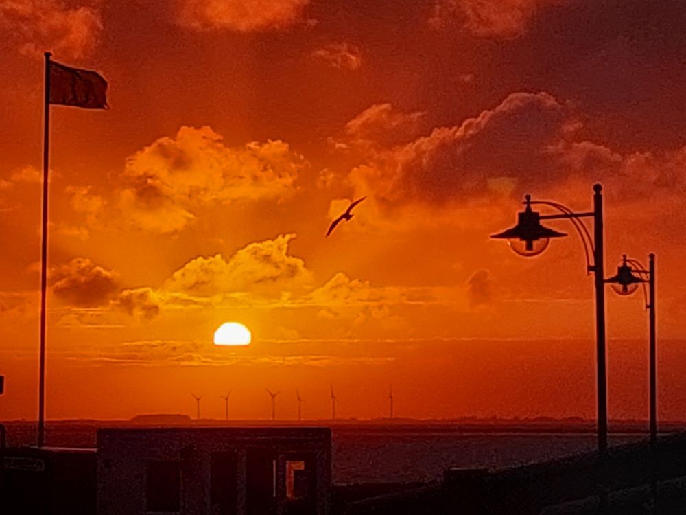 Zoom auf die Sonne. Am rechten  Rand stehen Laternen wie Scherenschnitte, eine Möwe - sie erscheint schwarz - fliegt durchs Bild. Das gesamte Bild ist tief-orange eingefärbt