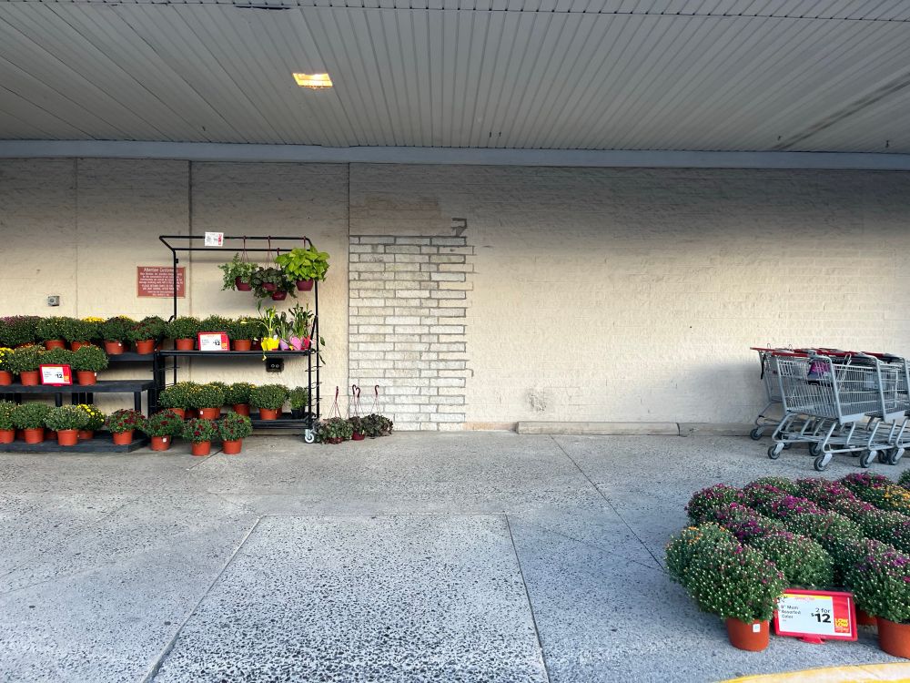 A plain white wall with potted plant displays and shopping carts in front of it. In the middle of the wall is a door shaped gray and white brick area that does not match the rest of the wall.