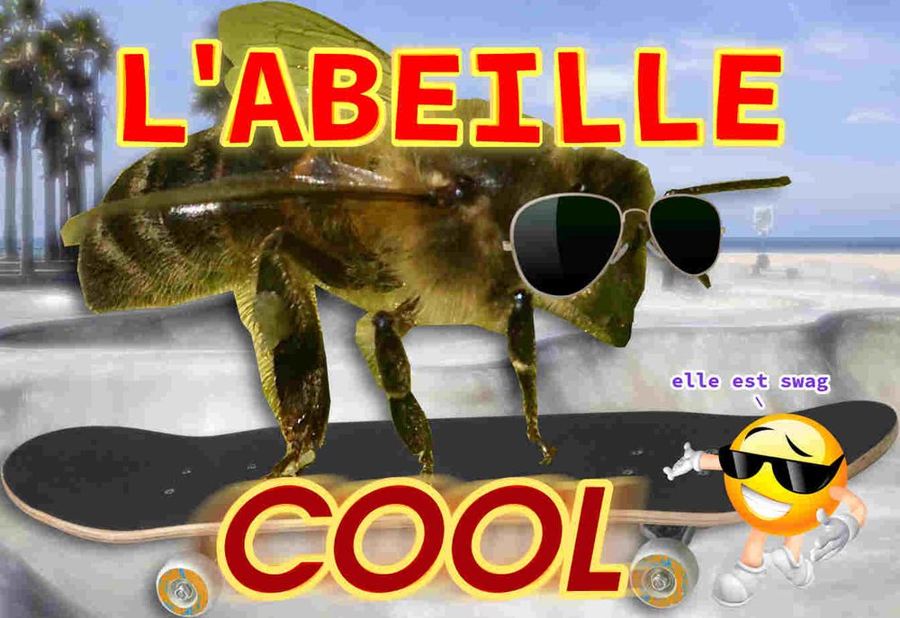 En premier plan un gros texte avec écrit "L'ABEILLE COOL"
Image d'une abeille avec des lunettes de soleil sur un skateboard
Un emoji avec des lunettes de soleil et un grand sourire blanc qui la montre et qui dit "elle est swag"
En arrière plan, une image floue du skate park de Venice Beach à Los Angeles