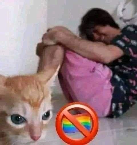 Comment image