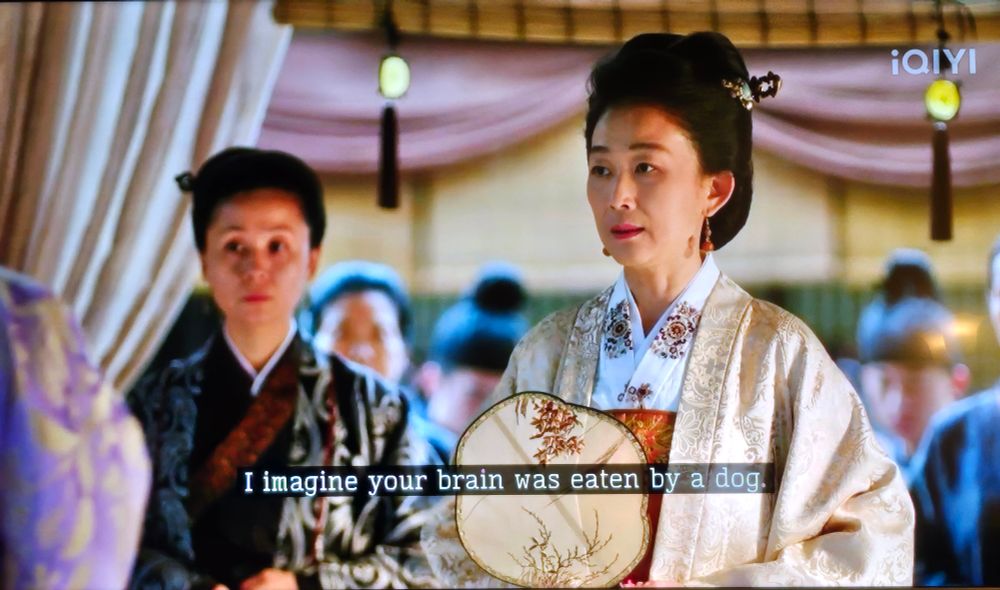 Paused IQIYI screen. High ranking noble woman in classic Chinese garb, holding an embroidered fan. She says, "I imagine your brain was eaten by a dog."
